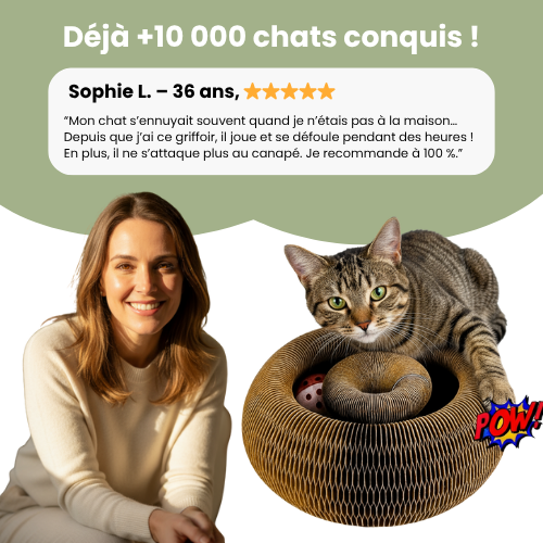 Griffoir interactif pour chats - Zark Pet