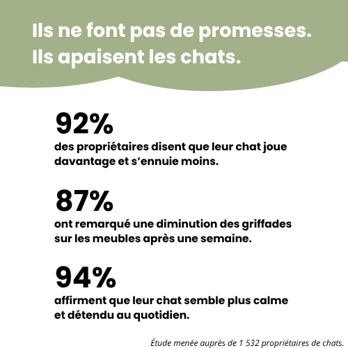 Griffoir interactif pour chats - Zark Pet
