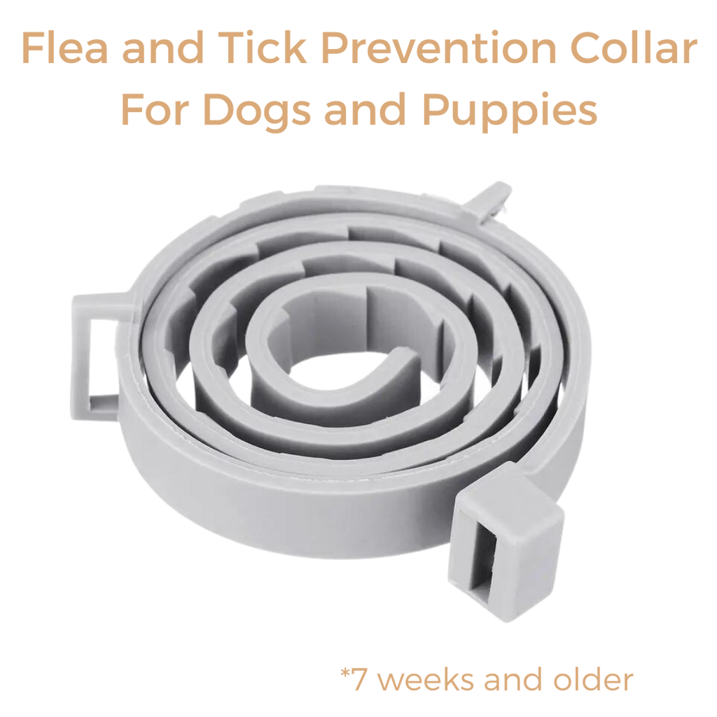Anti Tick & Flea Collar - Zark Pet
