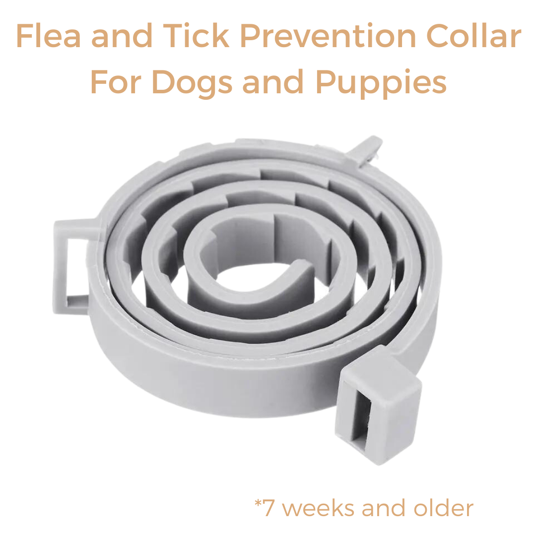 Anti Tick & Flea Collar - Zark Pet