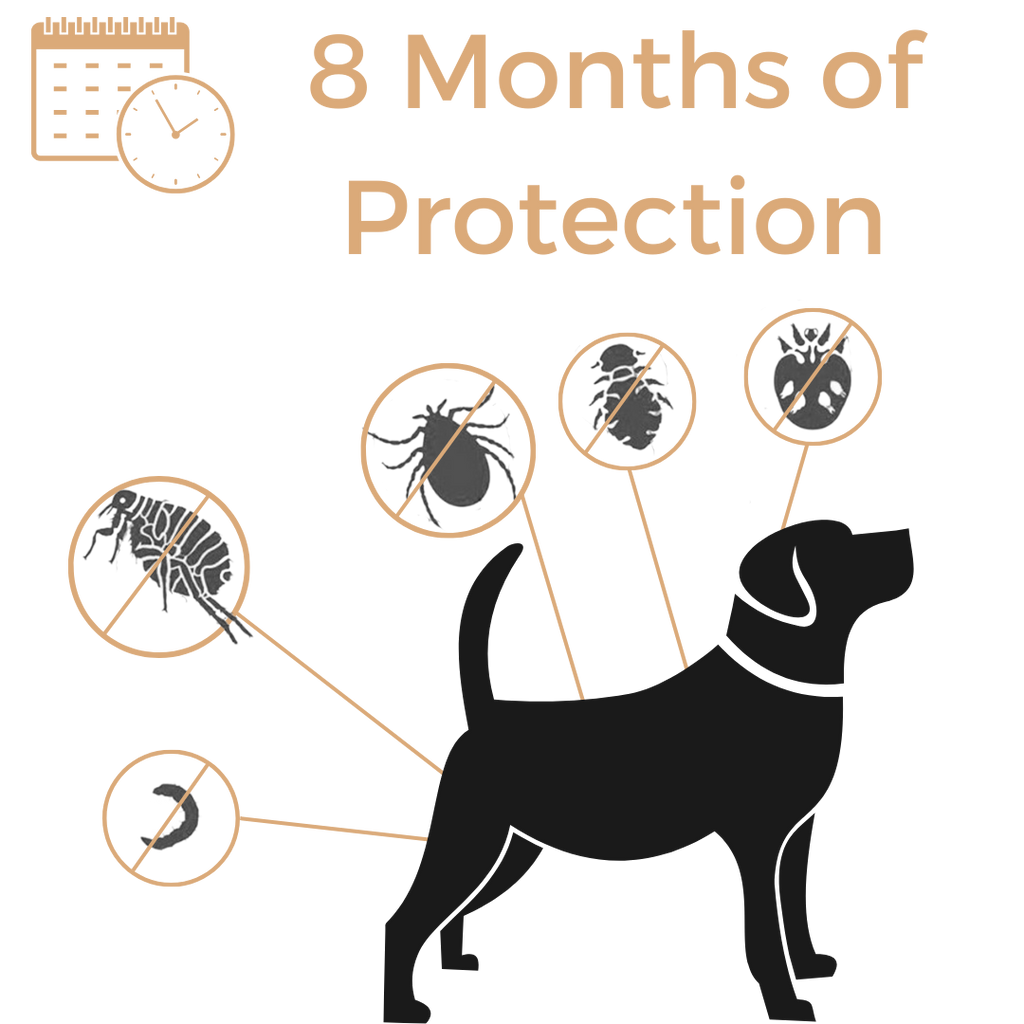Anti Tick & Flea Collar - Zark Pet