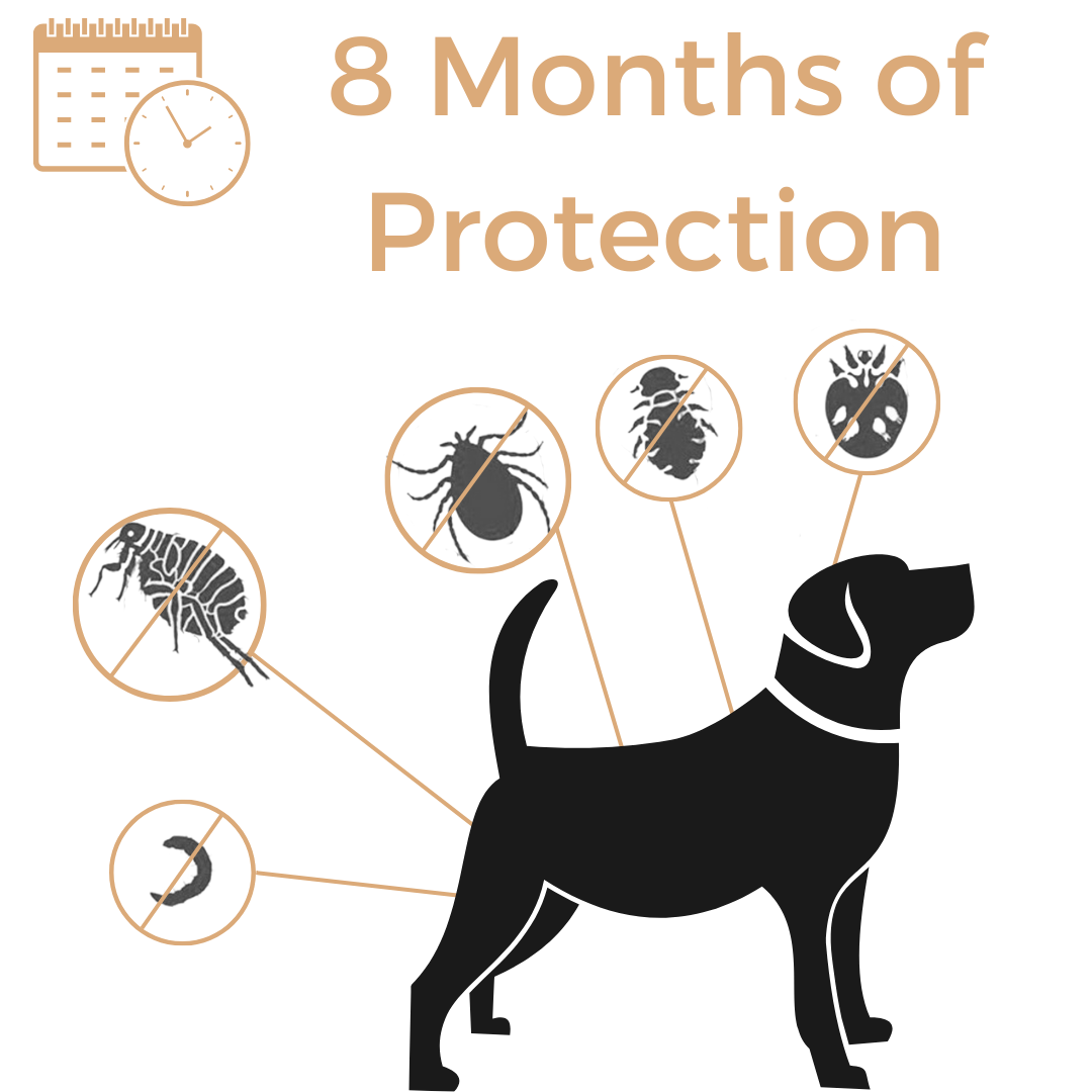 Anti Tick & Flea Collar - Zark Pet