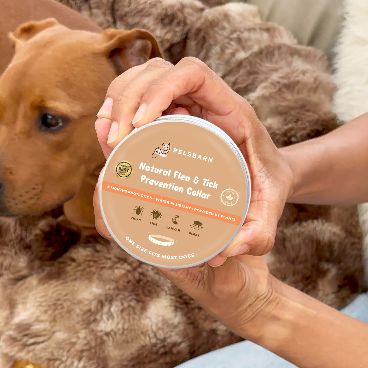 Natural Flea & Tick Prevention Collar - Zark Pet