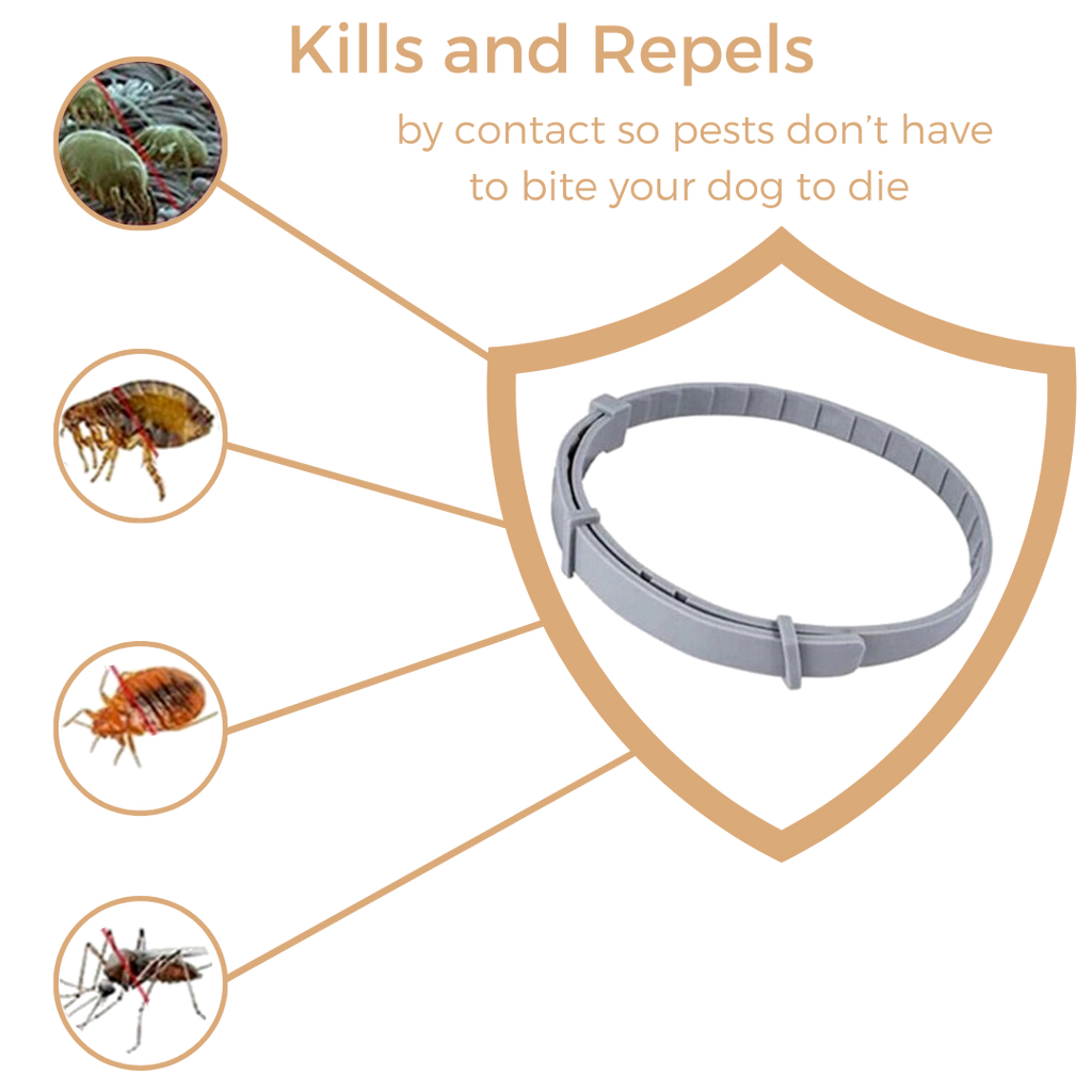 Anti Tick & Flea Collar - Zark Pet