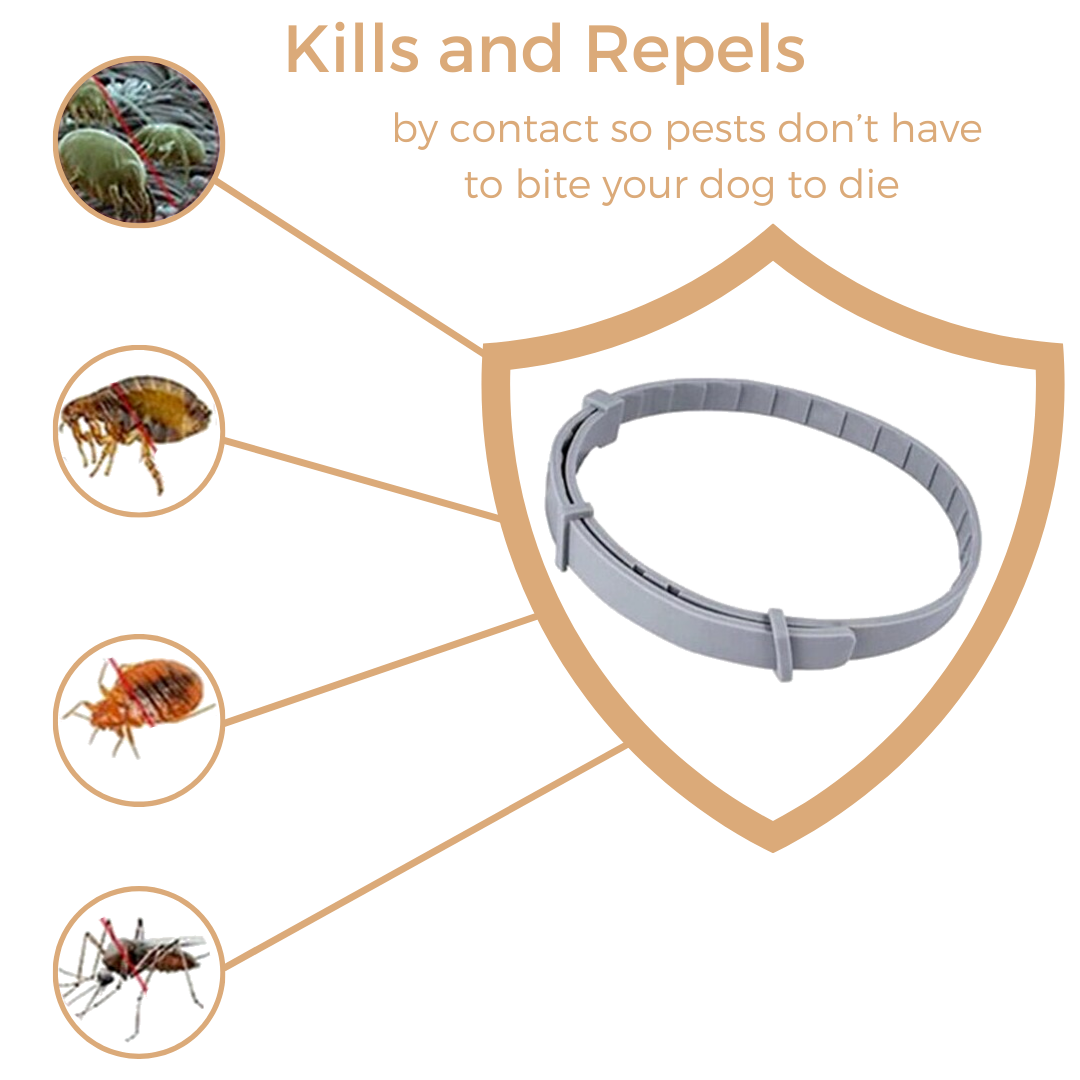 Anti Tick & Flea Collar - Zark Pet