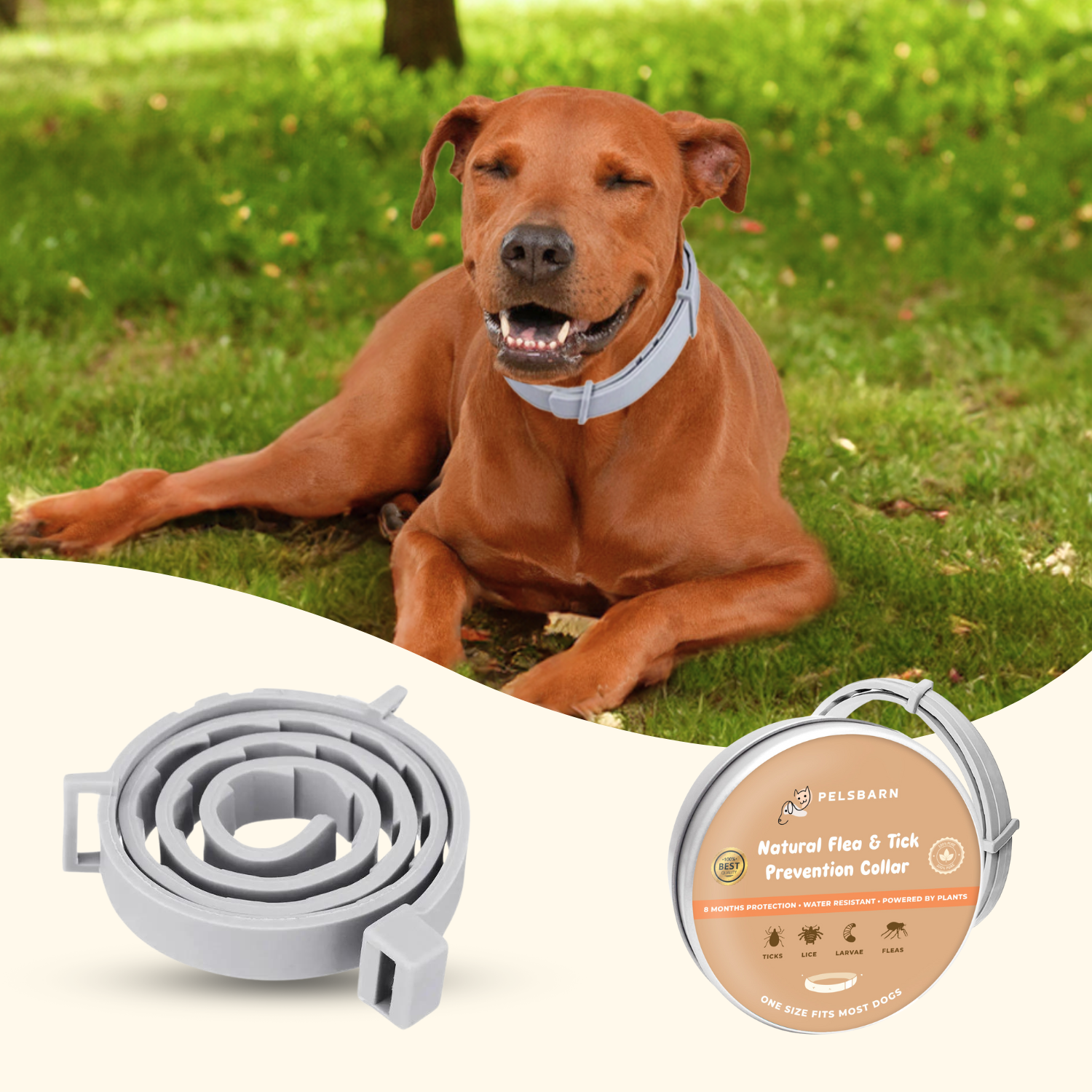 Natural Flea & Tick Prevention Collar - Zark Pet