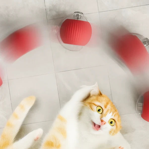 CrazyBall™ - Balle Interactive - Zark Pet