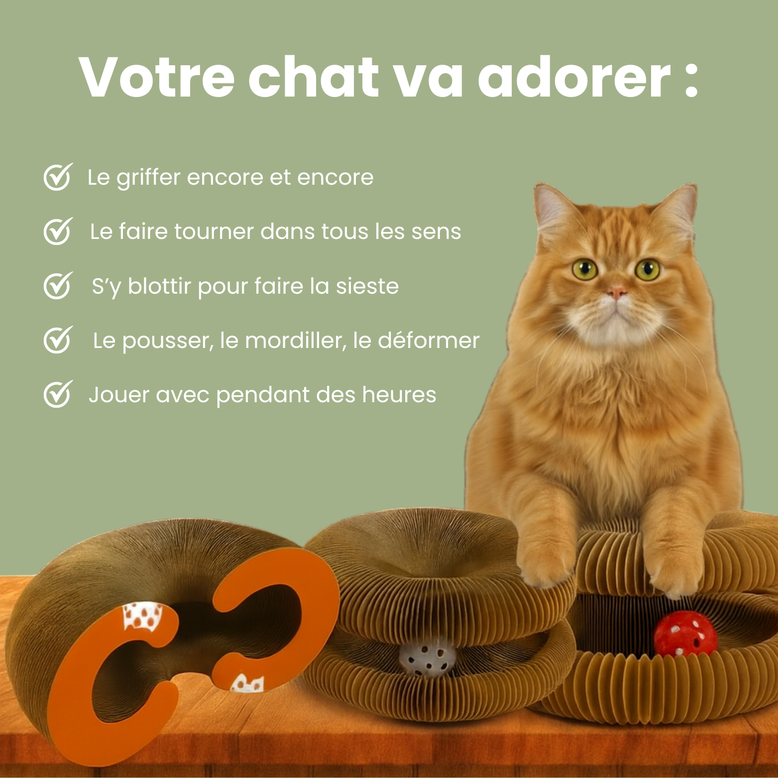 Griffoir interactif pour chats - Zark Pet