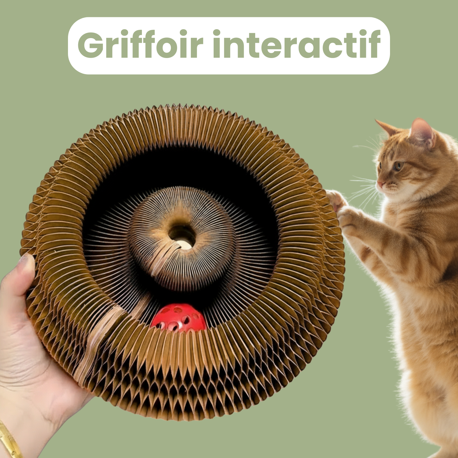 Griffoir interactif pour chats - Zark Pet