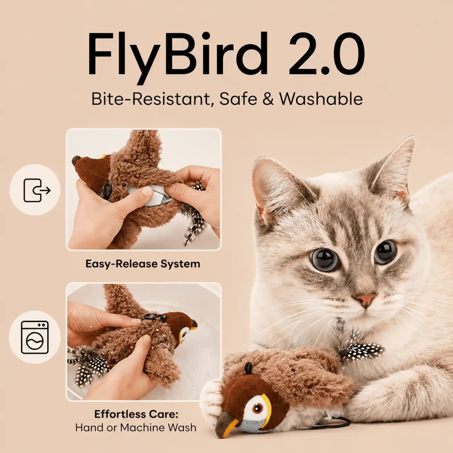 Kit FlyBird 2.0
