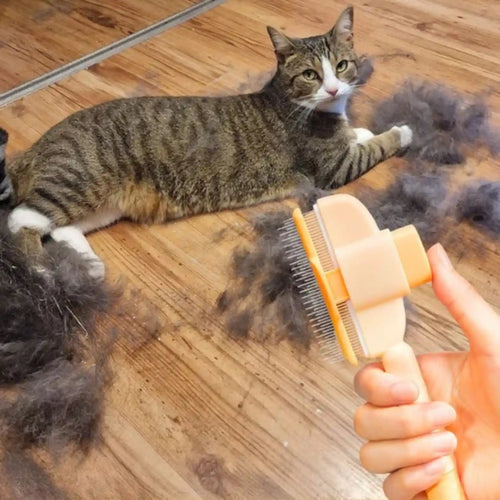 Anti-Shed Cat Brush — Zark Pet